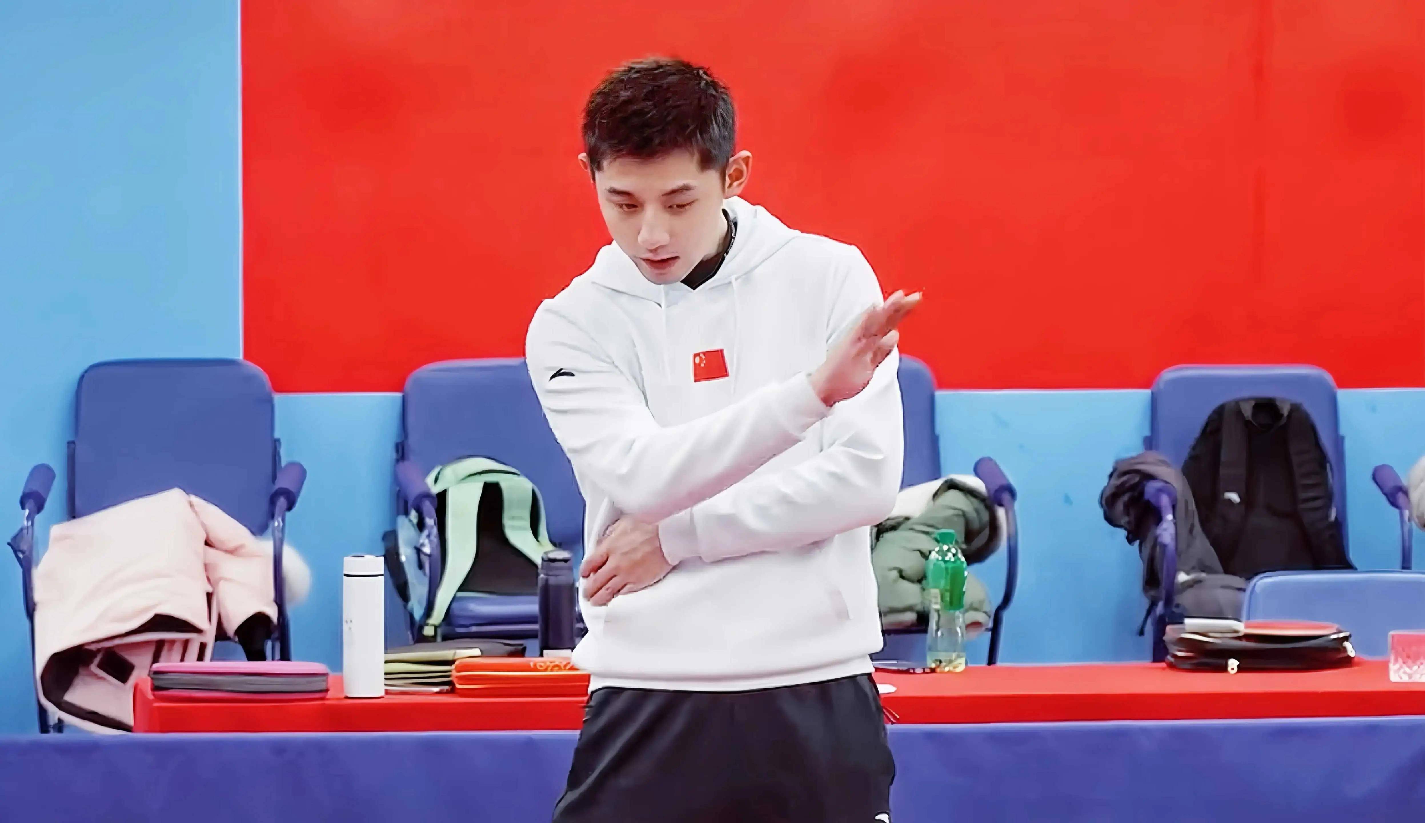 关于瑞典乒乓球队翻盘法国乒乓球队，张继科统治全场的信息