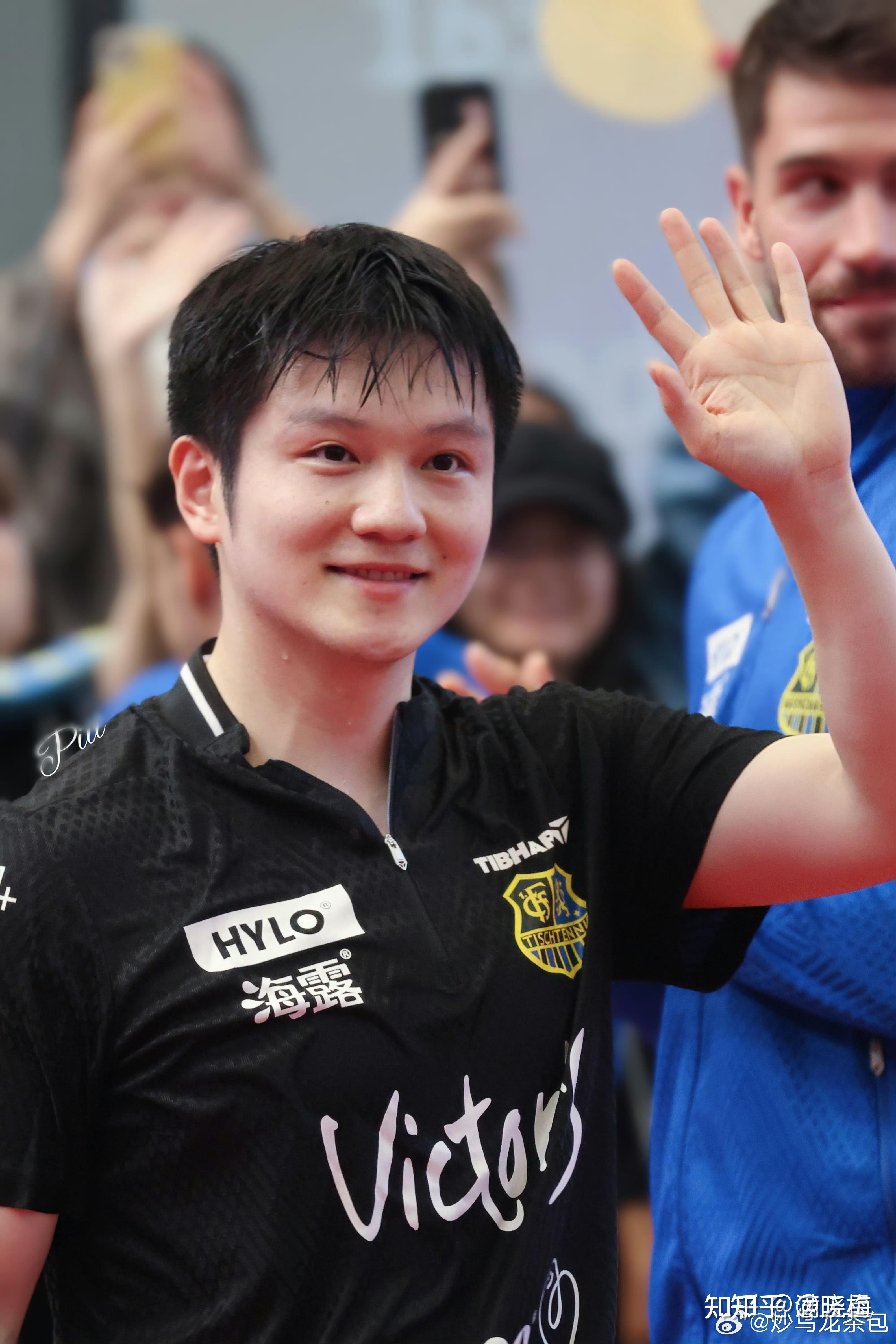 关于中国乒乓球队力克德国乒乓球队，樊振东惊艳世界的信息