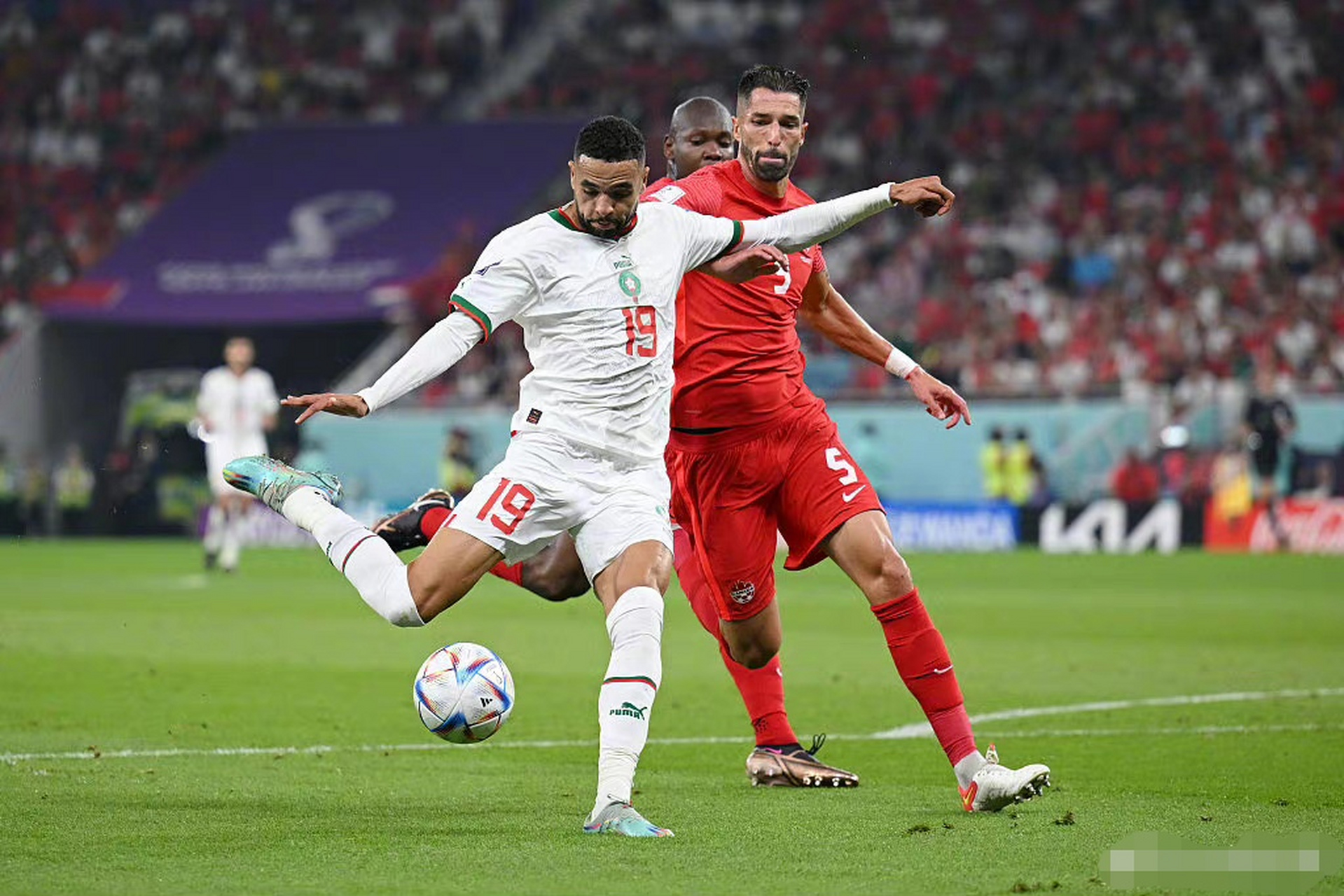 匈牙利队在与摩洛哥队的比赛中获胜 匈牙利队在与摩洛哥队的比赛中获胜