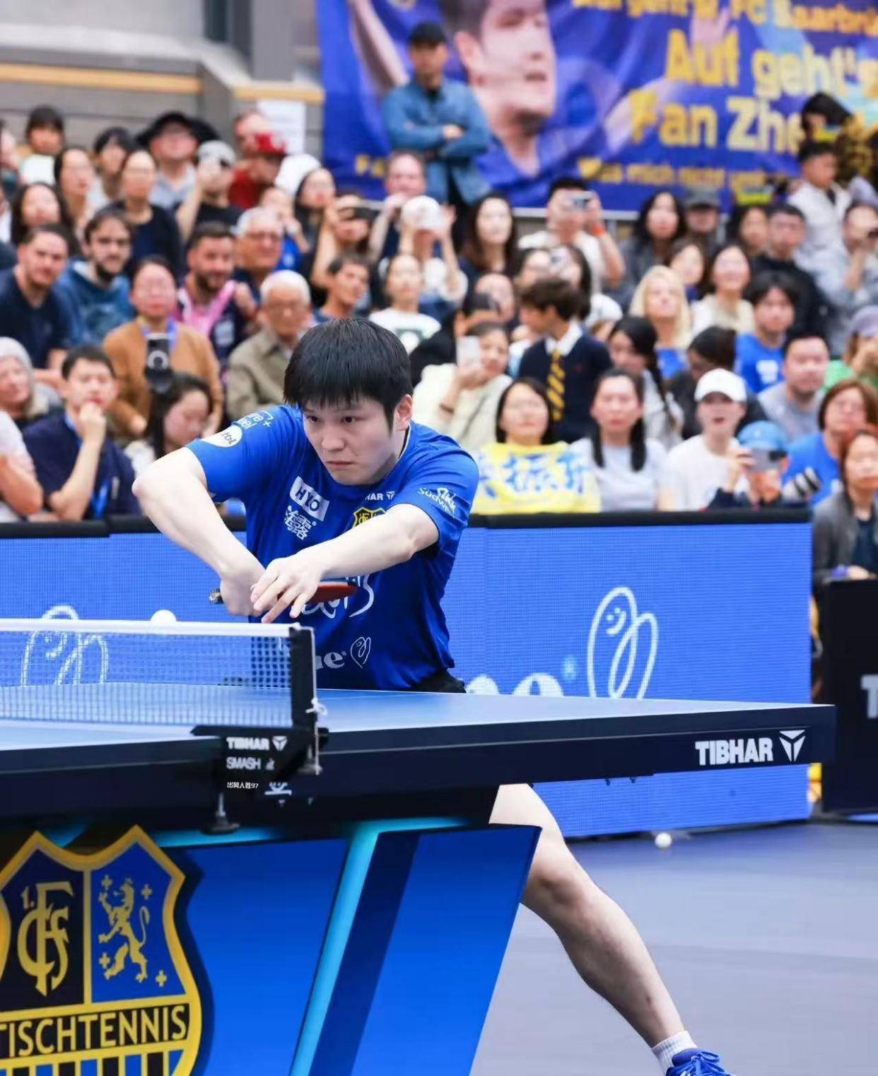 波兰乒乓球队翻盘德国乒乓球队，樊振东送出助攻的简单介绍