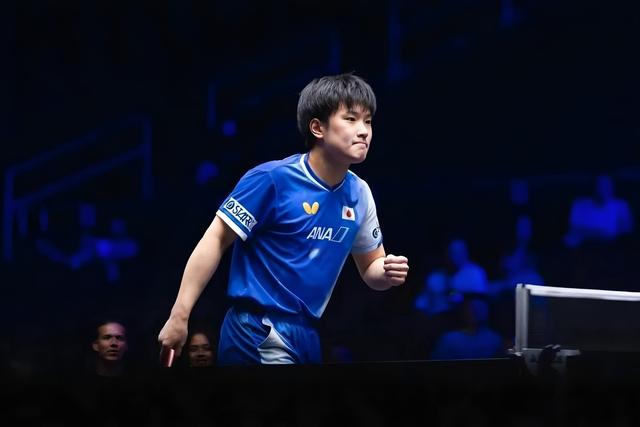 关于奥地利队鏖战瑞典队，张本智和点燃赛场的信息