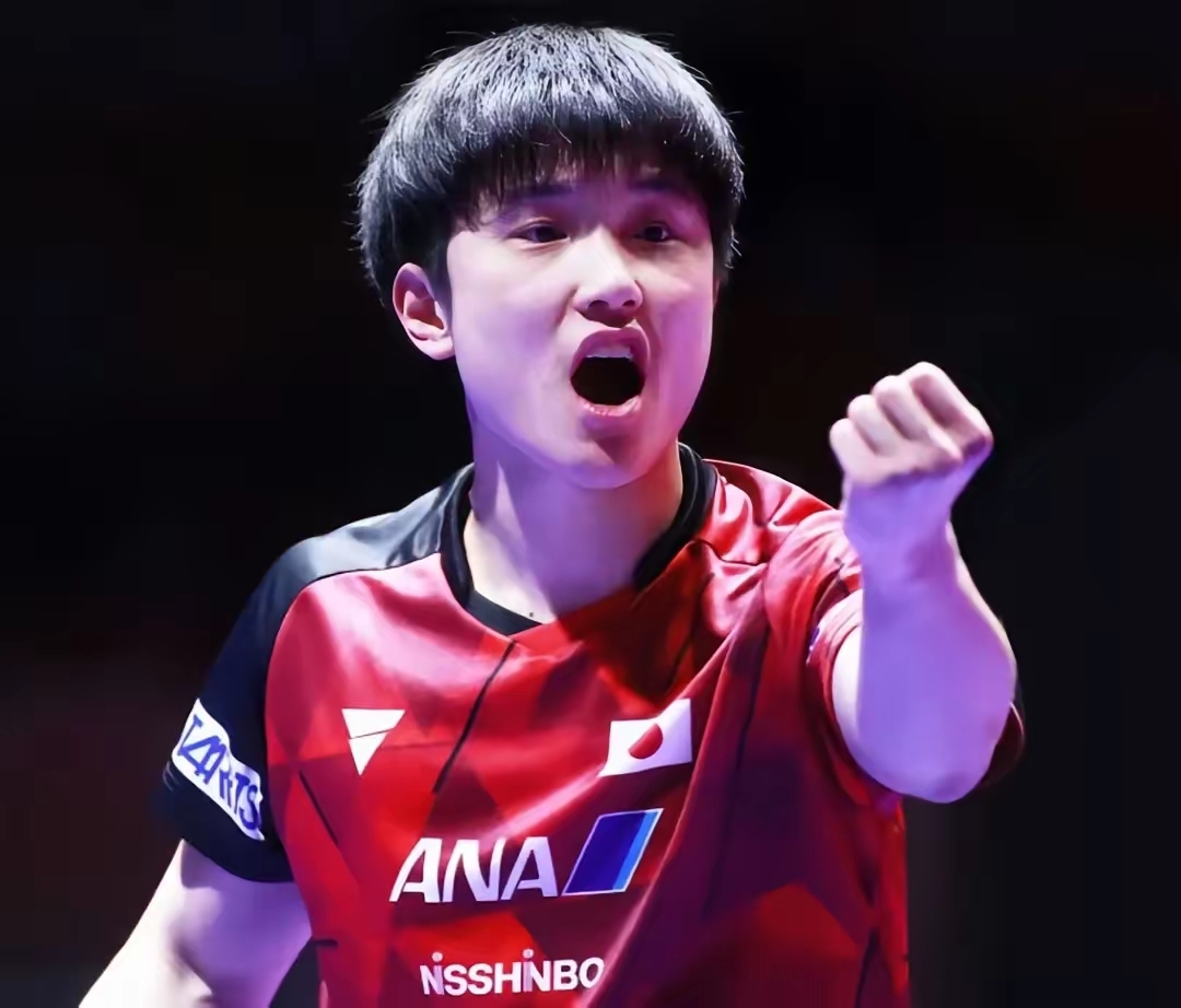 德国队鏖战日本队，张本智和惊艳四座的简单介绍