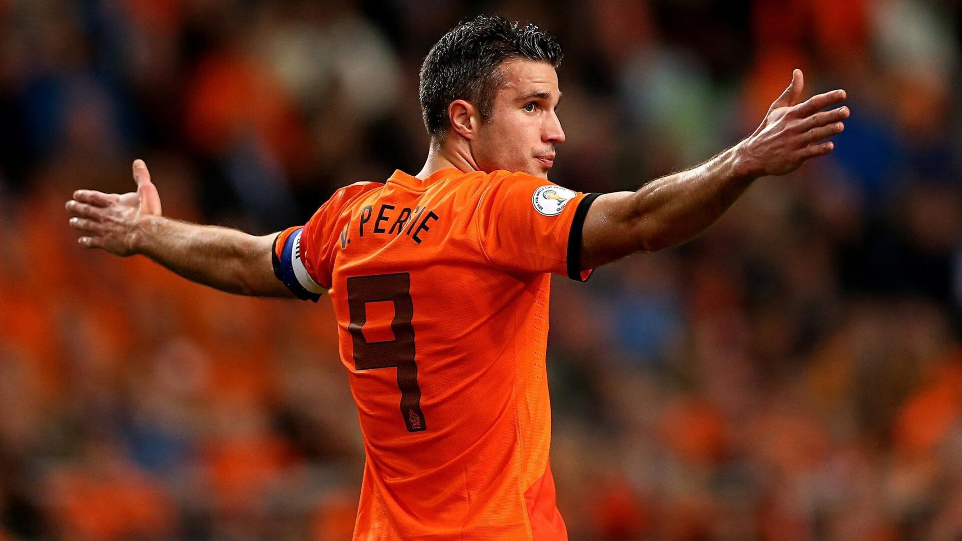 绿茵烽火，伊布点燃赛场，爱尔兰决胜局力克韩国